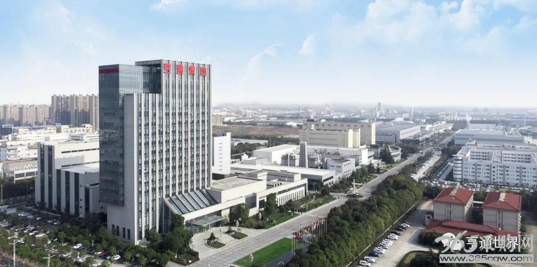 《稳舵扬帆，以持续战略创新赋能民族品牌》