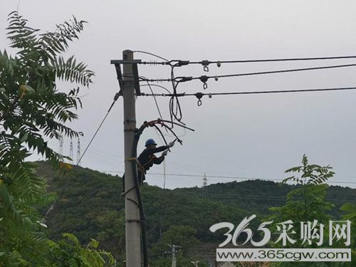 电网运行平稳 电力可靠供应