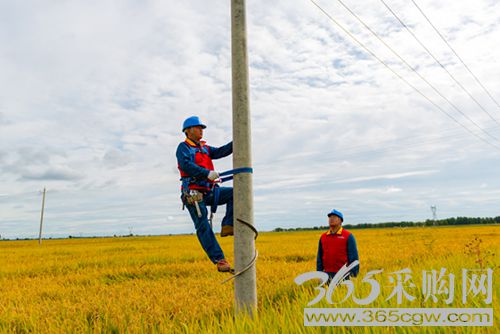 电网运行平稳 电力可靠供应