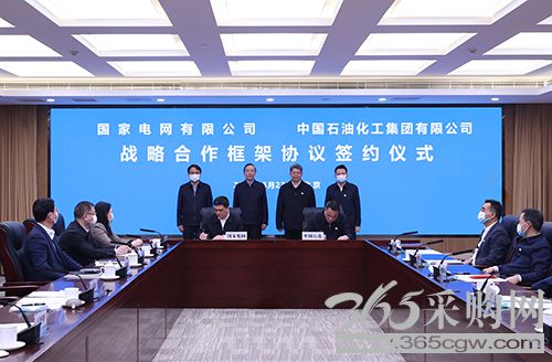 为保障能源安全促进能源转型贡献力量