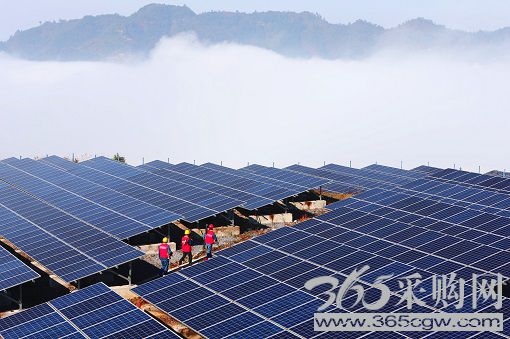 全力以赴迎峰度夏保障供电 坚定不移推动能源转型助力双碳