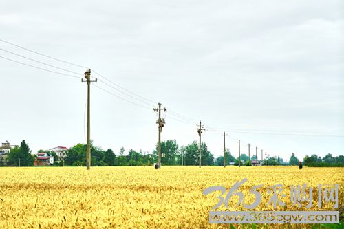 超常举措超常力度全力服务稳经济 更高站位更强担当更大作为抓落实