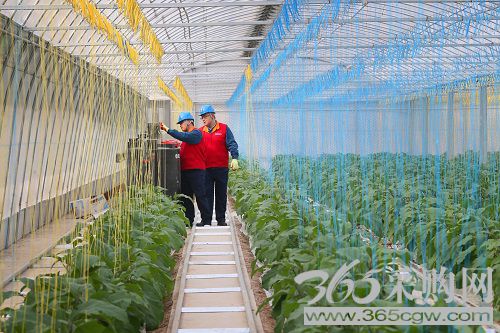 战高温斗酷暑强安全保供电稳增长 勇争先走在前建设一体四翼新高地