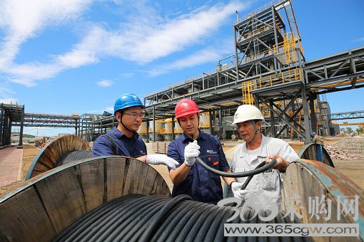 全力以赴保供电勇于担当稳增长奋发有为促转型 助力新时代东北振兴辽宁振兴高质量发展新局面