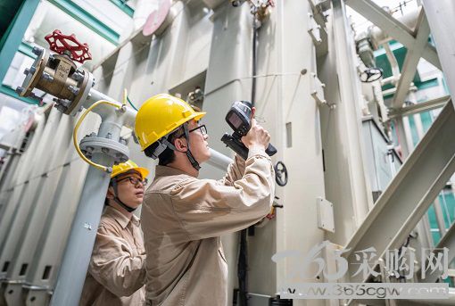 携手并进协同攻关构建新型电力系统<br>深化改革强强联合推动能源绿色转型