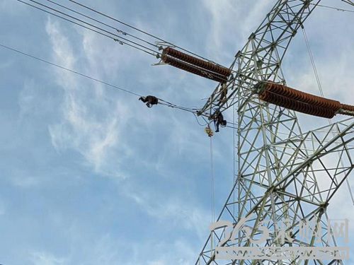 迎峰度冬保供电｜加快工程建设 保障电力供应