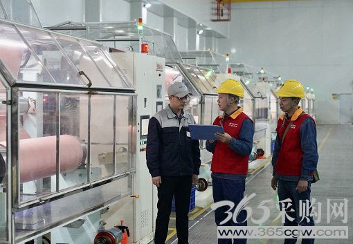 坚决贯彻党中央决策部署落实落地见实效 保供电强安全促转型稳增长防风险守底线
