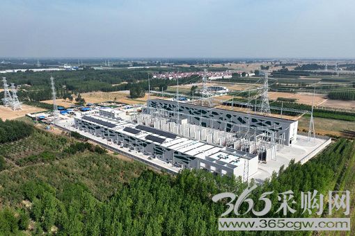 奋力在推动高质量发展上取得更大进步