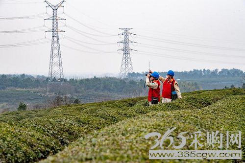旗帜领航程 奋进新征程|全面推进乡村振兴 电网企业多方发力