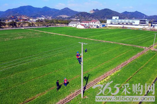 旗帜领航程 奋进新征程|全面推进乡村振兴 电网企业多方发力