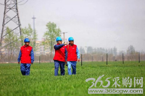 旗帜领航程 奋进新征程|全面推进乡村振兴 电网企业多方发力