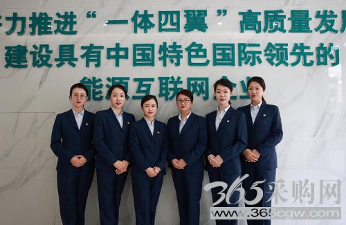 国家电网多个集体和个人获全国妇联表彰