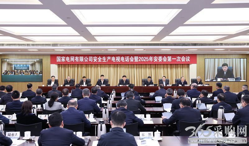 公司召开安全生产电视电话会暨2025年安委会第一次会议