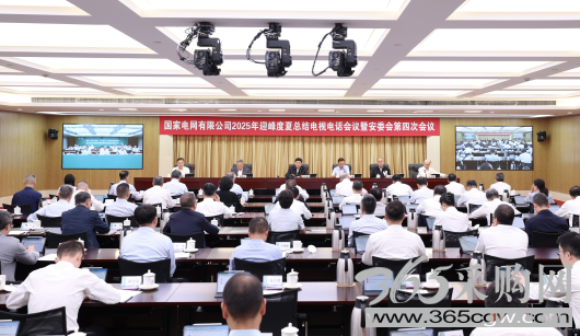 国家电网2025年迎峰度夏总结电视电话会议暨安委会第四次会议召开