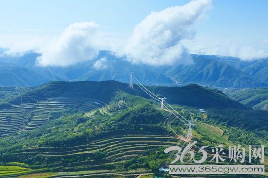 节日我在岗｜国家电网2200余项工程建设有序推进